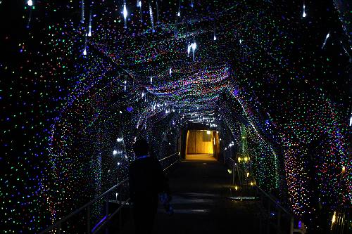 七色に光る、蛍光石のトンネル！