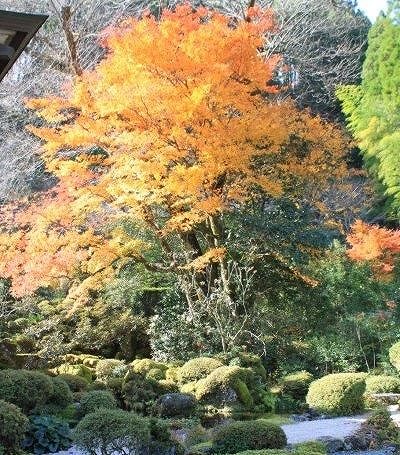 伝来寺庭園の紅葉風景