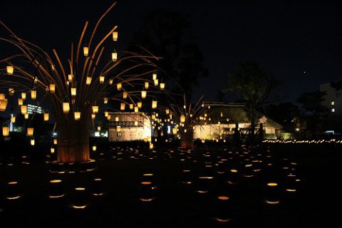 今年初めて、日本遺産「咸宜園」にこんなに綺麗な明かりが灯りました