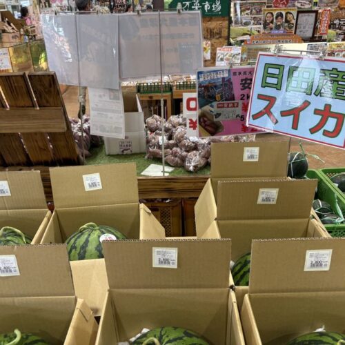日田市「元氣の駅」で日田スイカを♪