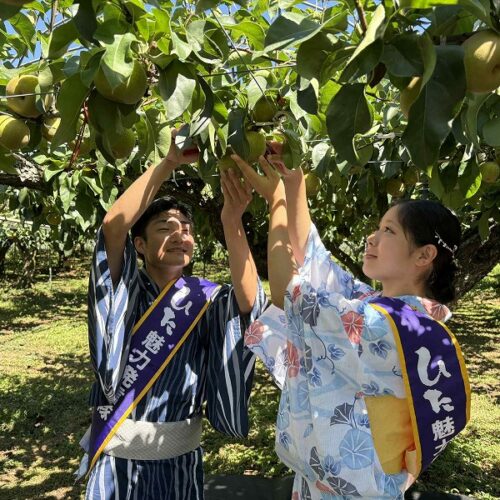 日田梨の旬入り式が行われました