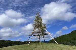 IMG_0294
