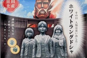 商品写真_ホワイトラングドシャ1